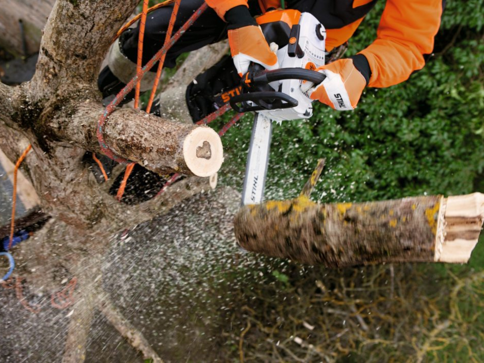 2025 Stihl MS 201 T C-M Chainsaw