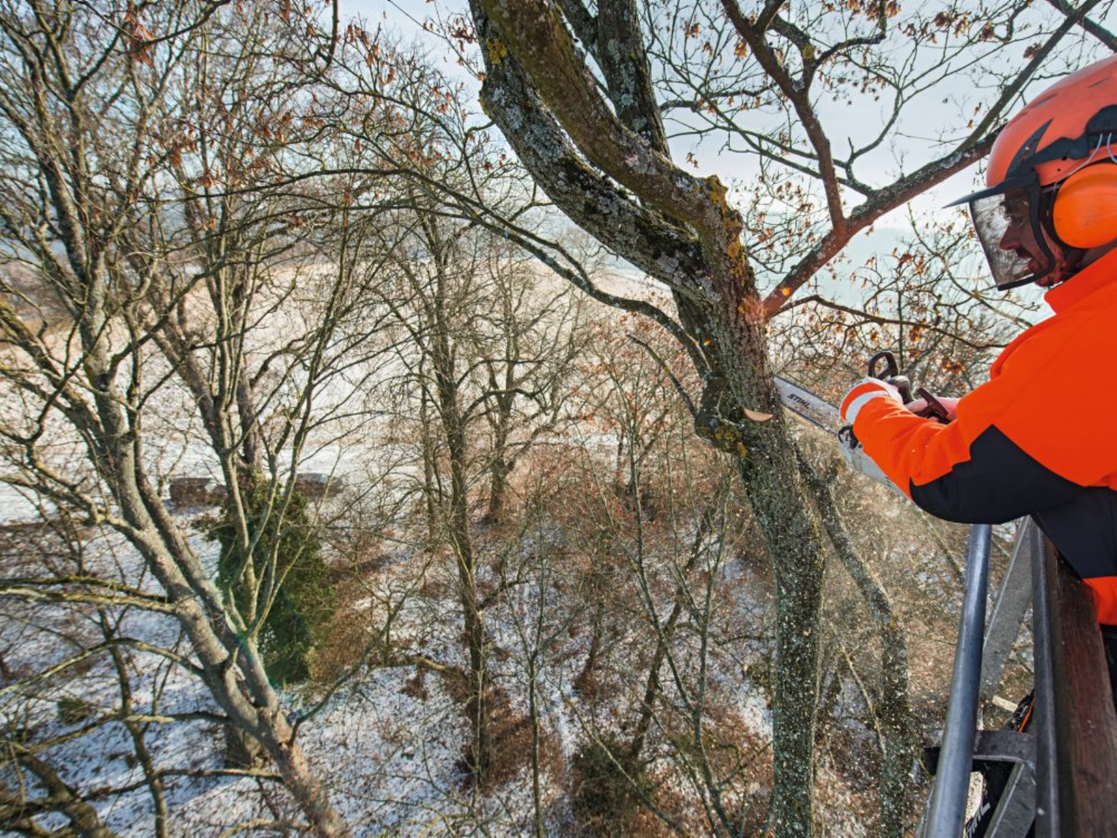 2025 Stihl MS 201 T C-M Chainsaw